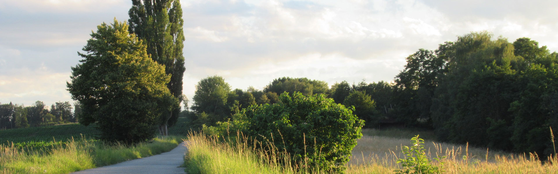 Slider Spazierweg Lehrpfad