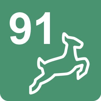 Nr. 91 Wanderweg, Nordic Walking - 7,8 km